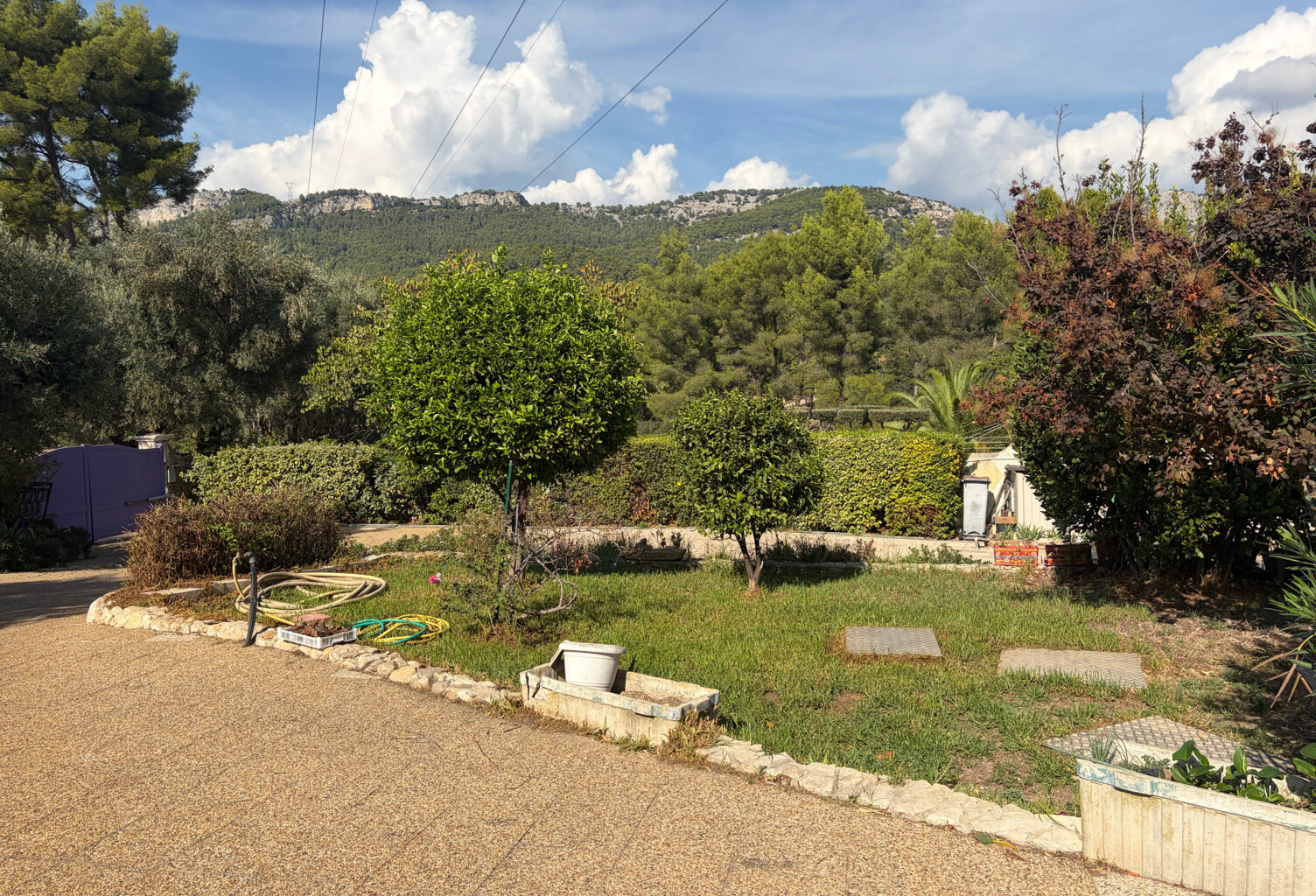 Ollioules-Maison familiale avec piscine sur 2000 m2 de terra — photo 1