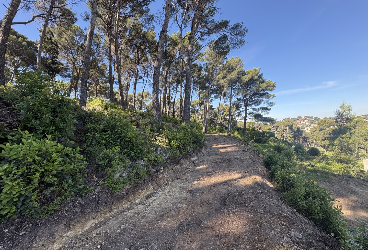 OLLIOULES - TERRAIN A BATIR 6400 M2- VUE DEGAGEE — photo 1