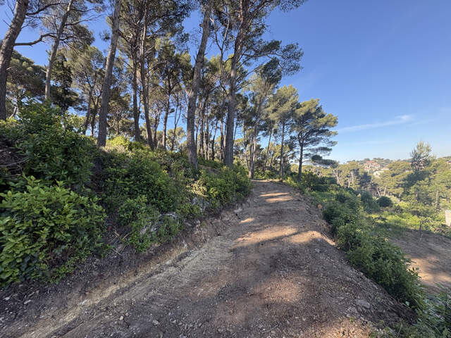 OLLIOULES - TERRAIN A BATIR 6400 M2- VUE DEGAGEE — photo du bien