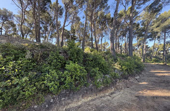 OLLIOULES - TERRAIN A BATIR 6400 M2- VUE DEGAGEE — photo 3