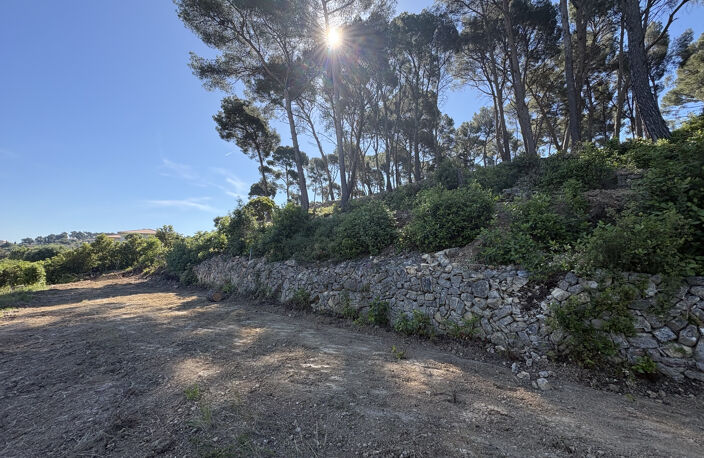 OLLIOULES - TERRAIN A BATIR 6400 M2- VUE DEGAGEE — photo 4