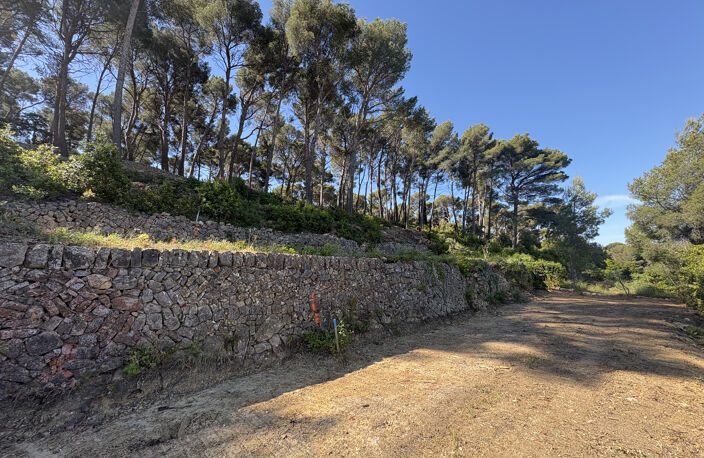 OLLIOULES - TERRAIN A BATIR 6400 M2- VUE DEGAGEE — photo 5