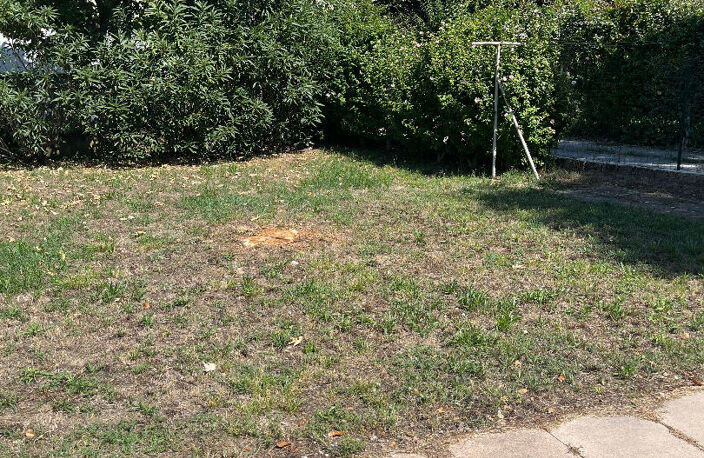 Maison 3 chambres avec jardin — photo 2