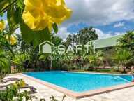 MAGNIFIQUE PROPRIETE COMPRENANT UNE VILLA ET CINQ GITES — photo 3