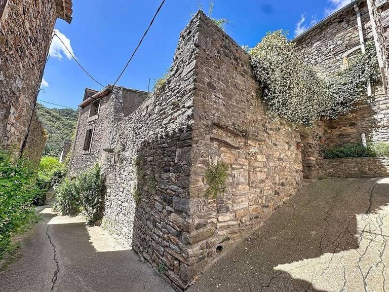 Une demeure du XVIIe siècle au cœur d'un village médiéval, avec plus de 100 m² d'extérieurs et un cachet exceptionnel. — photo 1