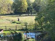 Propriété rare sur 9500 m² - 10 mn de La Ferté sous Jouarre. — photo 4