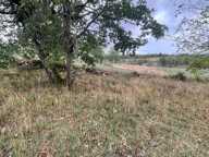 BEAU TERRAIN PLAT CONSTRUCTIBLE — photo 3