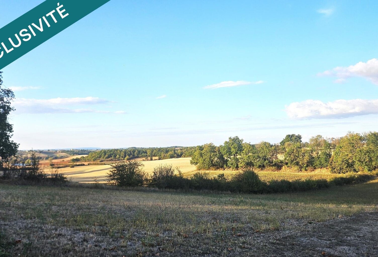 Un cadre privilégié pour votre projet - Terrain de 1 655 m² avec vue dégagée, au calme ! — photo 1
