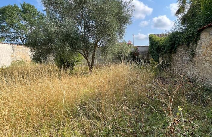 Vente Immeuble 310 m&sup2; — photo 4