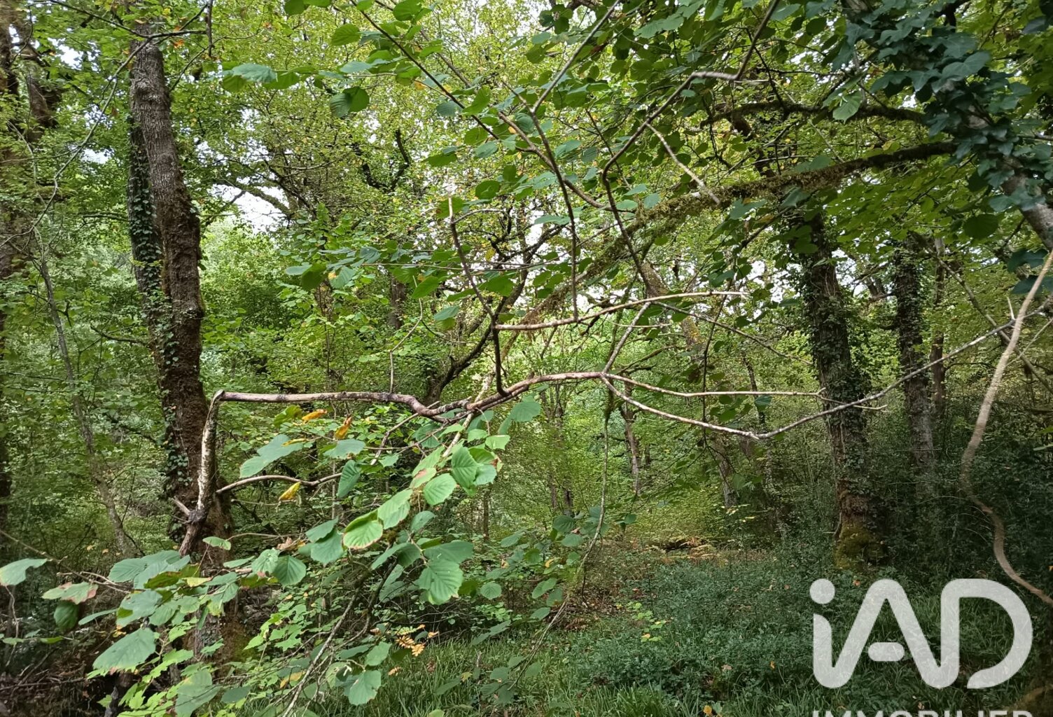 Vente Terrain 8 100 m&sup2; — photo 1