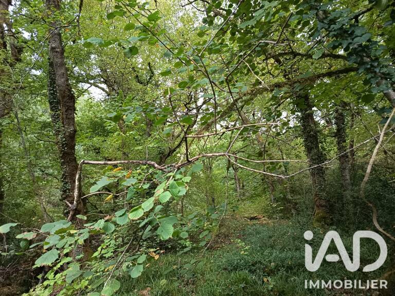 Vente Terrain 8 100 m&sup2; — photo 1