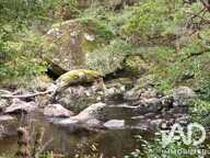 Vente Terrain 8 100 m&sup2; — photo 2