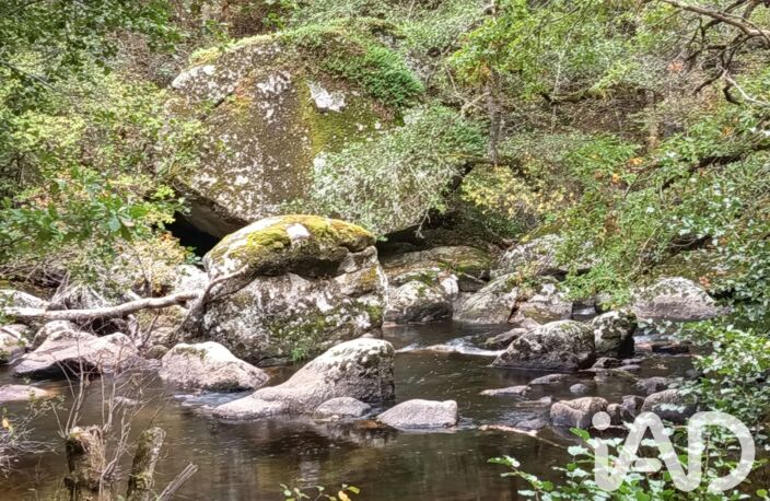 Vente Terrain 8 100 m&sup2; — photo 2