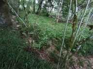 Vente Terrain 8 100 m&sup2; — photo 4