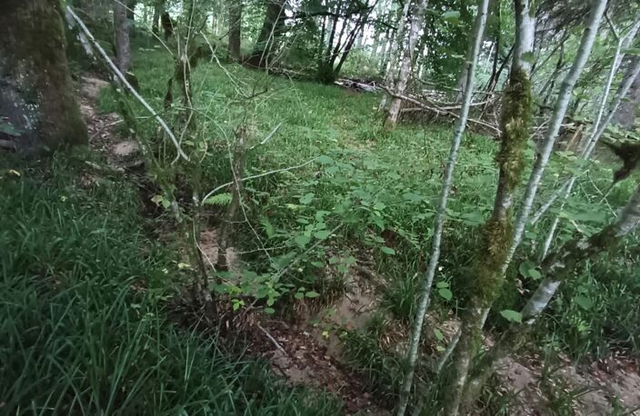 Vente Terrain 8 100 m&sup2; — photo 4