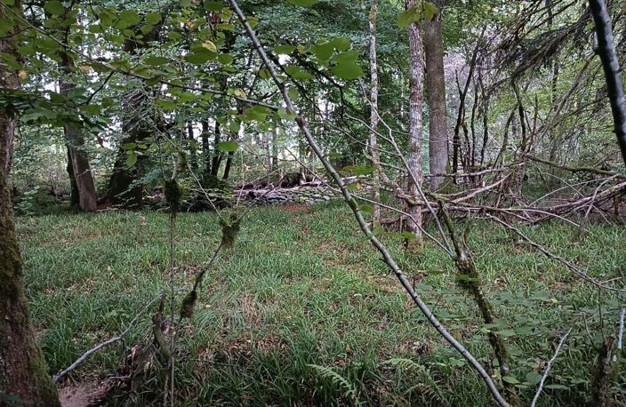Vente Terrain 8 100 m&sup2; — photo 5