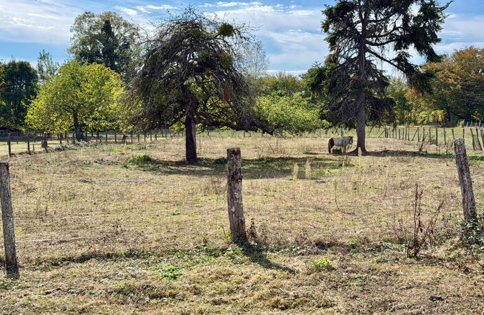Vente maison à rénover, 118 m2 env,  terrain 3393 m2, LA COT — photo 5