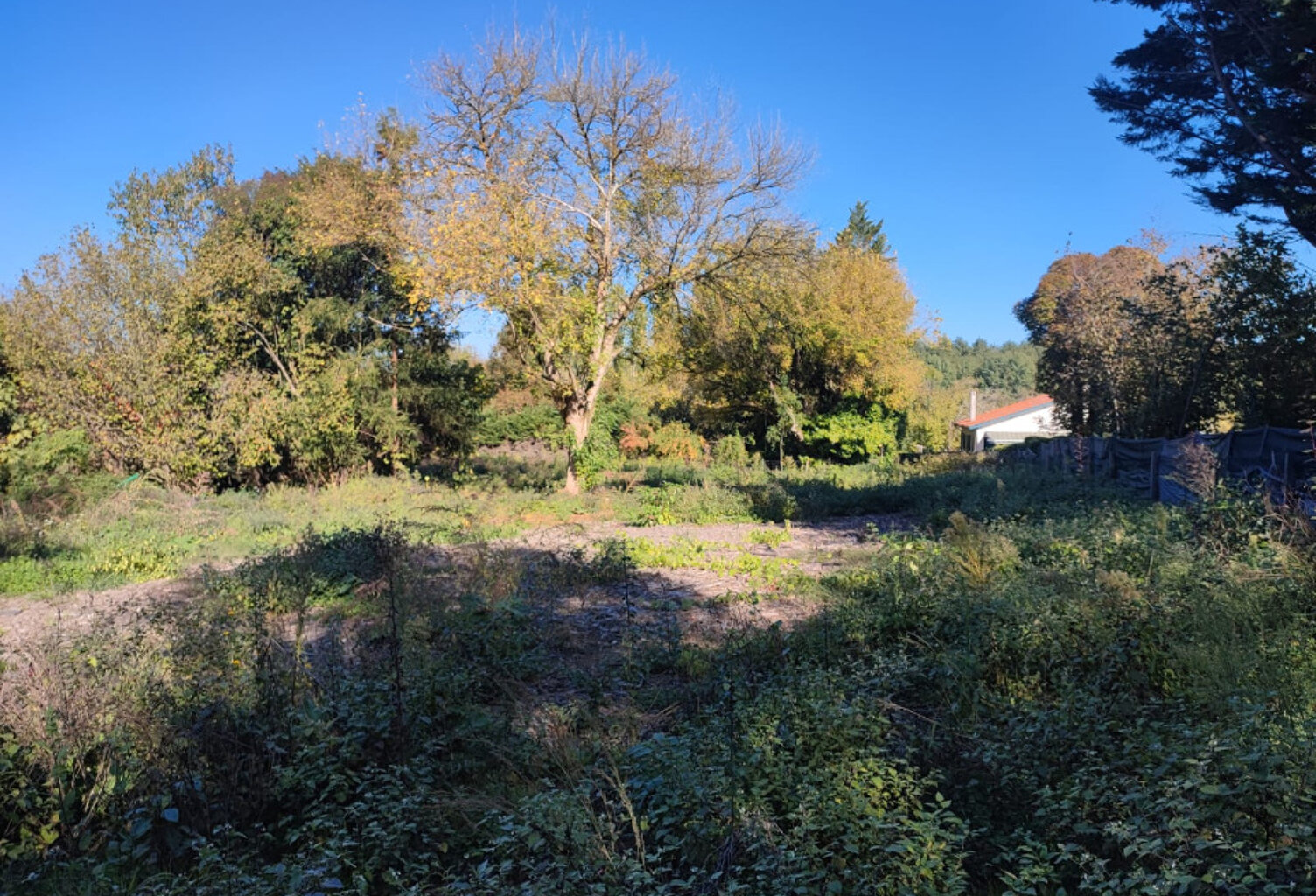 Terrain à bâtir à Camarsac (33750) — photo 1