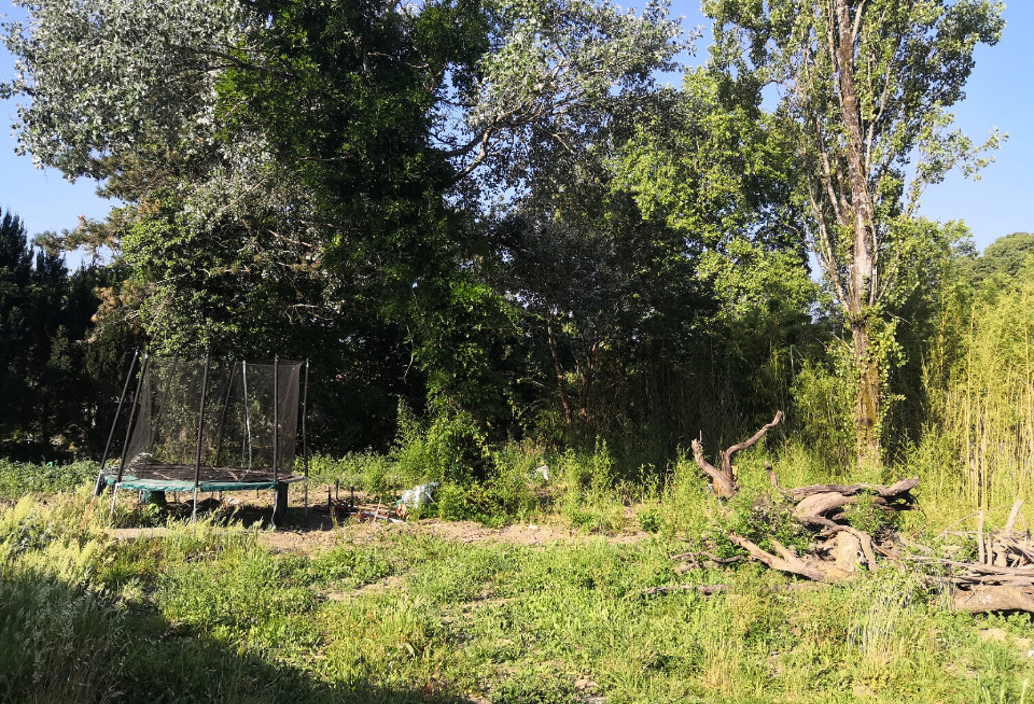 Terrain à bâtir à Créon (33670) — photo 1