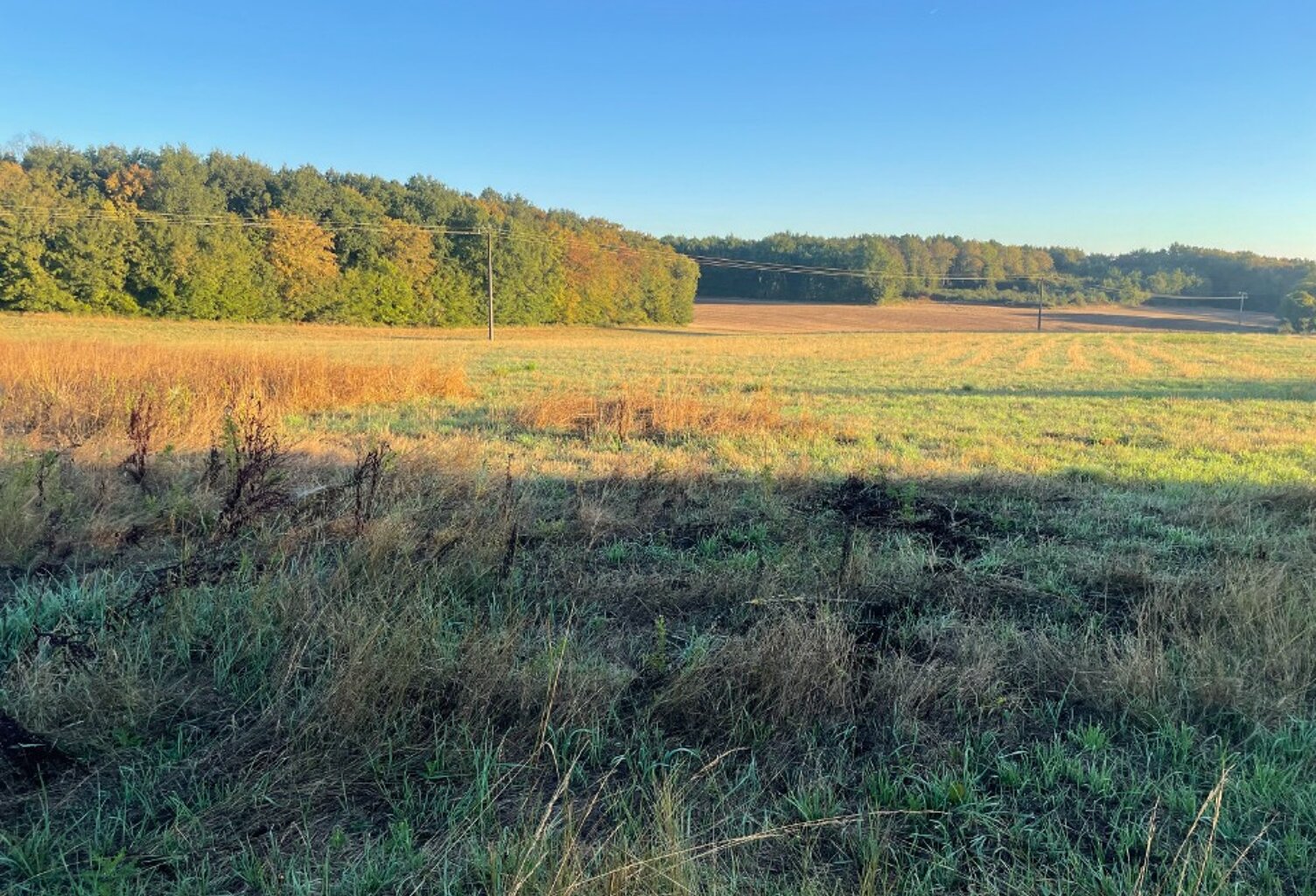 Terrain à bâtir à Les Essards (17250) — photo 1