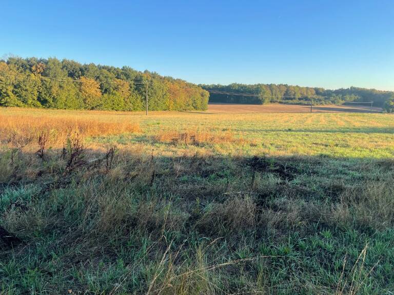 Terrain à bâtir à Les Essards (17250) — photo 1