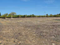 Terrain à bâtir à Vélines (24230) — photo 2