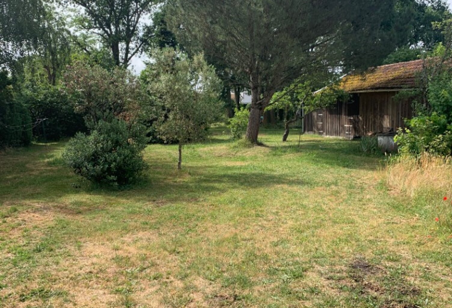 Terrain à bâtir à Biscarrosse (40600) — photo 1