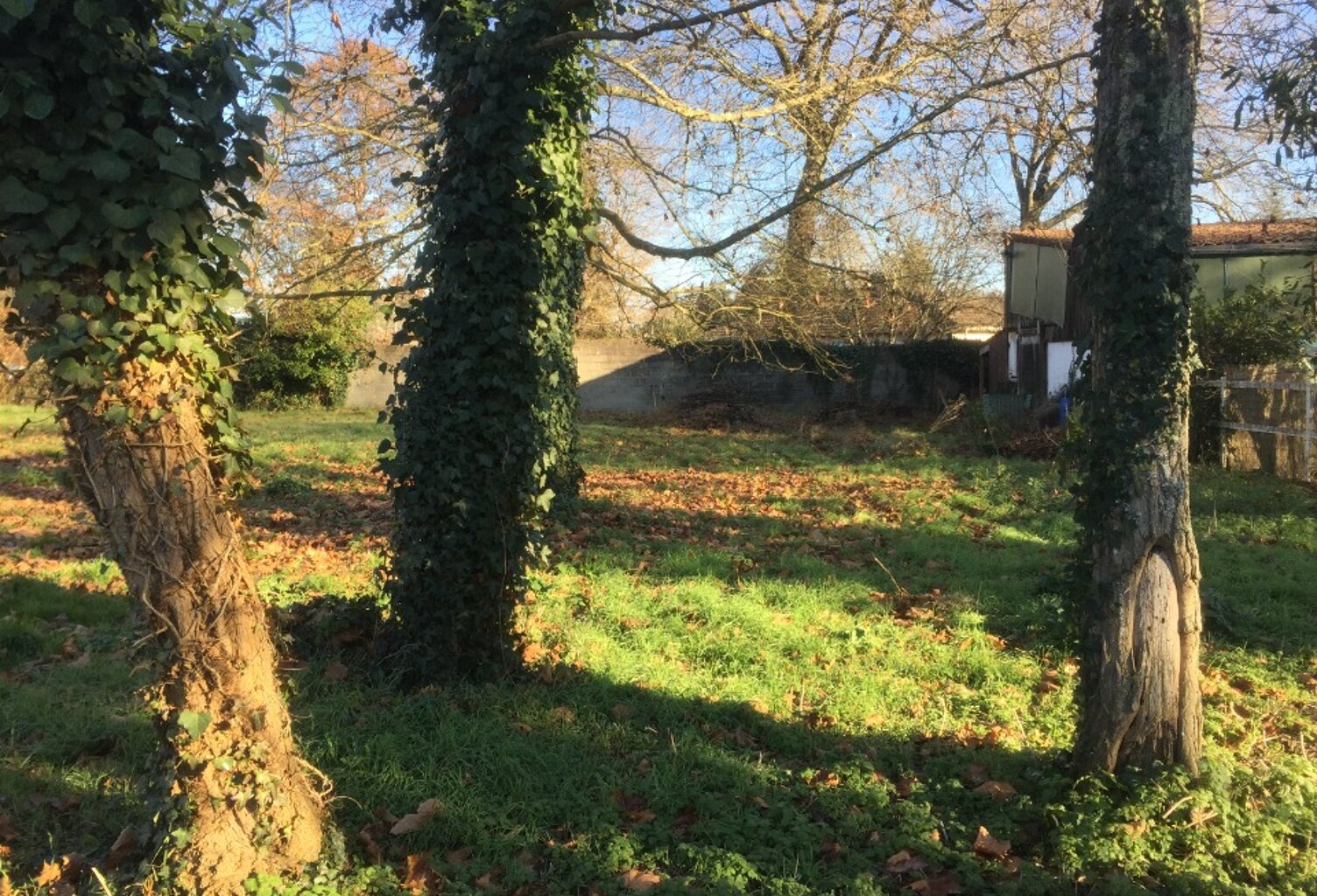 Terrain à bâtir à Le Barp (33114) — photo 1