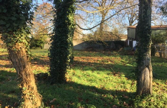 Maison à construire à Le Barp (33114) — photo 5