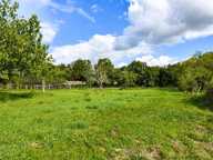 Saint-Seurin-sur-l'Isle : maison  99 m² + dépendances sur 6660 m² de terrain — photo 2