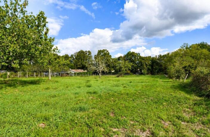 Saint-Seurin-sur-l'Isle : maison  99 m² + dépendances sur 6660 m² de terrain — photo 2