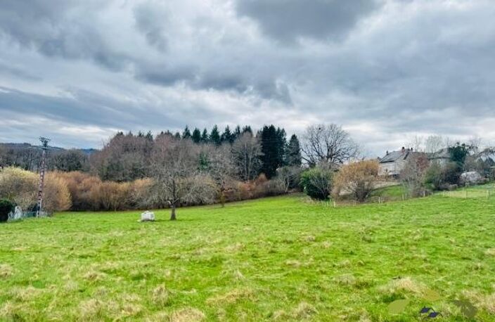 CORREZE — photo 2