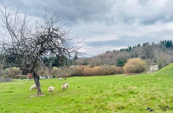 CORREZE — photo 3