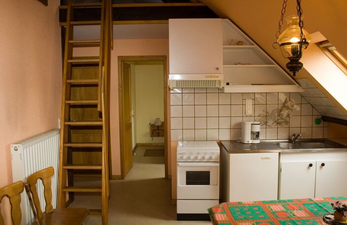 Appartement de 50m2 à louer sur Beblenheim — photo 5