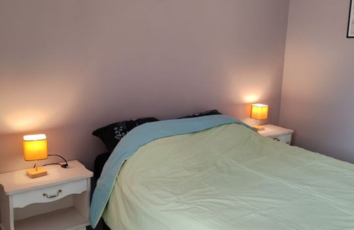Appartement de 50m2 à louer sur Vénissieux — photo 3