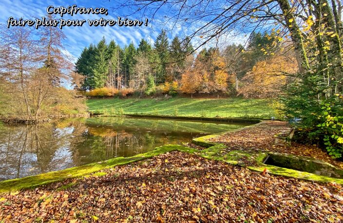 BELMONT DE LA LOIRE 42670, Maison à vendre 5 pièces, 151 m², 4 chambres, dépendances, Etang, sur terrain de 5179 m² — photo 5