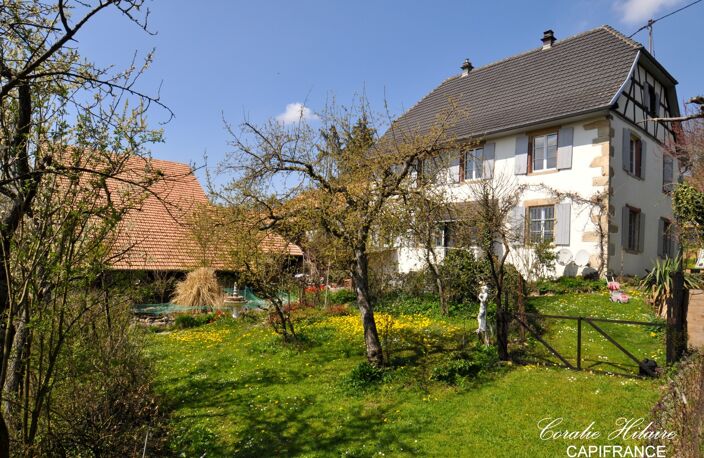 Dpt Haut-Rhin (68), à vendre MUESPACH Belle propriété en pierre, avec ses dépendances — photo 2