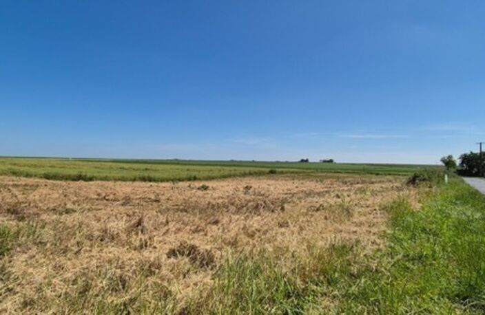 Terrain à vendre de 600,00 m² PLIVOT (51) — photo 3
