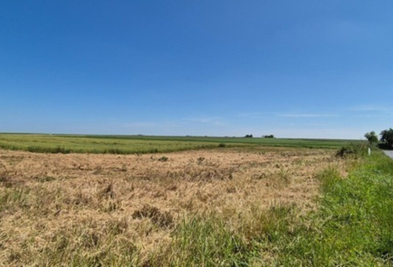 Terrain à vendre de 600,00 m² PLIVOT (51) — photo 1