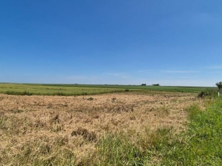 Terrain à vendre de 600,00 m² PLIVOT (51) — photo 1