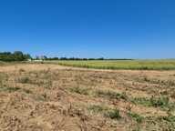Terrain à vendre de 600,00 m² PLIVOT (51) — photo 3