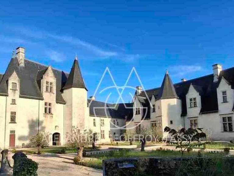 Château millénaire surplombant un village sur un parc de 15 ha — photo 1