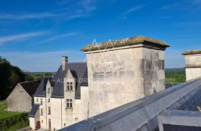 Château millénaire surplombant un village sur un parc de 15 ha — photo 2