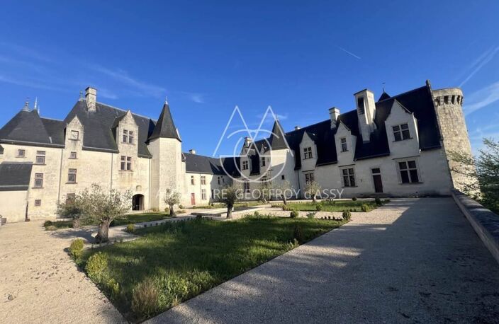 Château millénaire surplombant un village sur un parc de 15 ha — photo 3