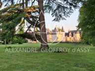 Château millénaire surplombant un village sur un parc de 15 ha — photo 4