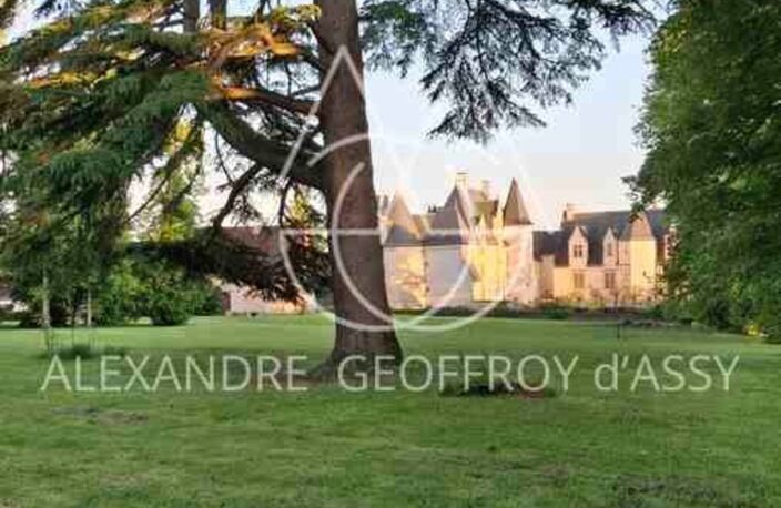 Château millénaire surplombant un village sur un parc de 15 ha — photo 4