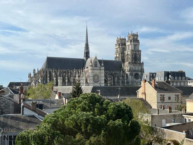Orleans, appartement Loft duplex de 130 m² vue cathedrale,à vendre, ascenseur, garage, exceptionnel — photo du bien