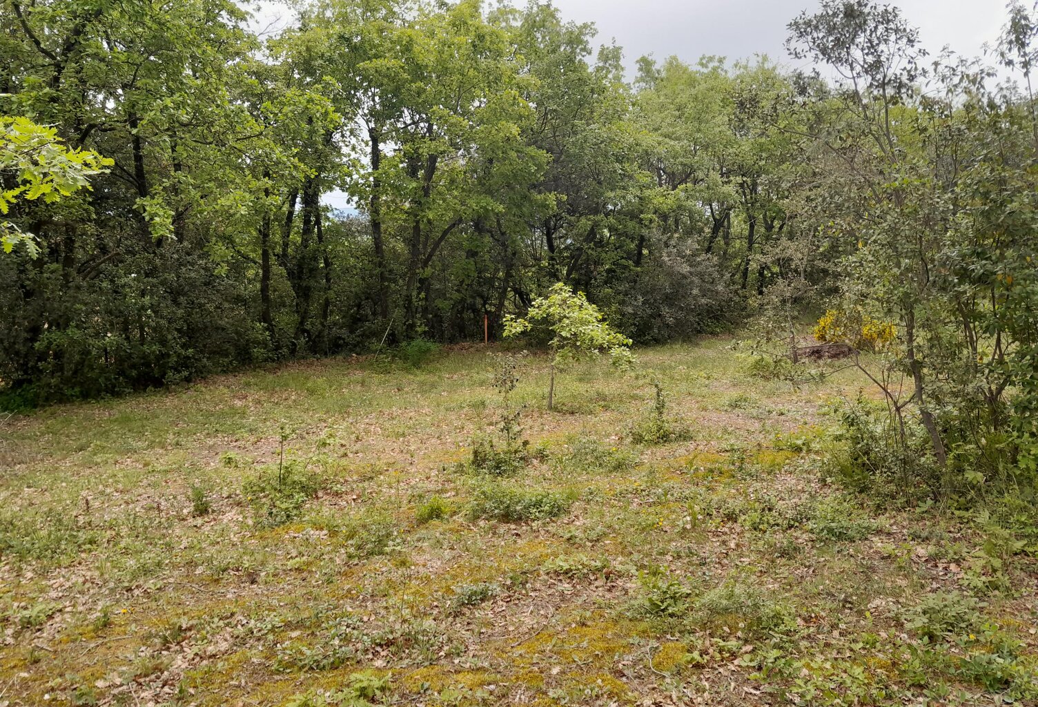 Vente terrain à construire 780 m² La Roque-d'Anthéron (13640) — photo 1