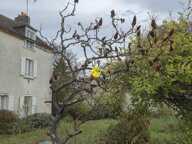 Maison de village — photo 4