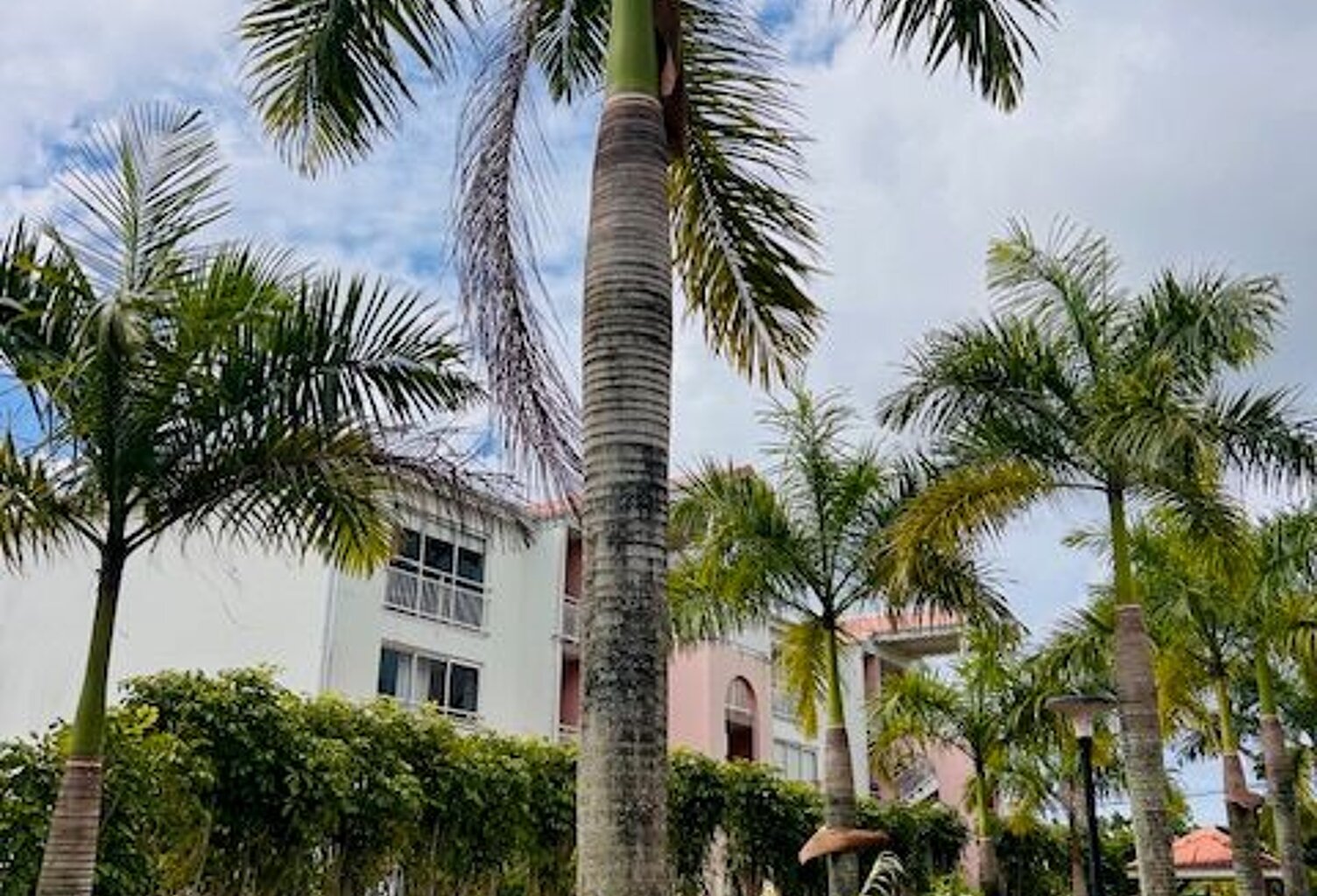 Appartement À Louer — photo 1